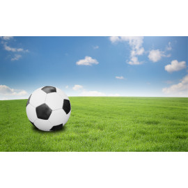 Football field and ball