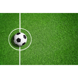 Football field and ball
