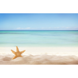 Summer beach with starfish