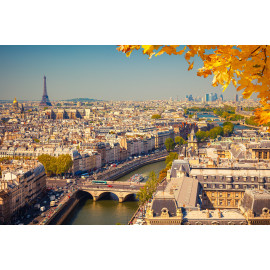 Paris panorama