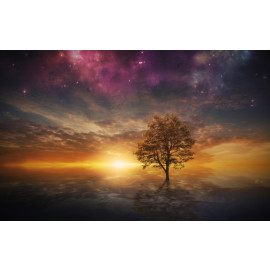 Surreal tree in lake