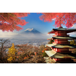 Mt. Fuji with fall colours 