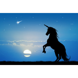 Unicorn at sunset