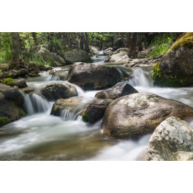 Springtime Rapids
