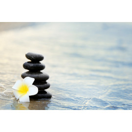 Pebbles and fragipani flower