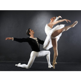 Ballet dancers