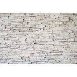 Brick Stone wall texture