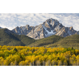 Colorado Autumn