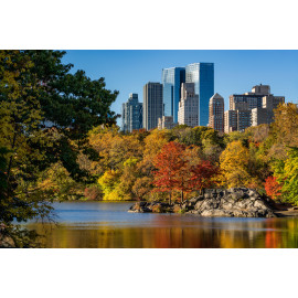 Fall in Central Park