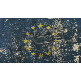 Vintage faded European Union 