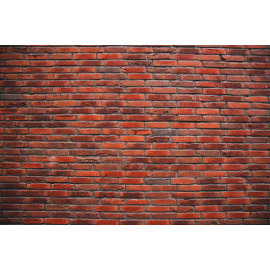 Old red brick wall.