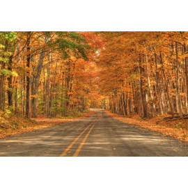 Fall Scene 