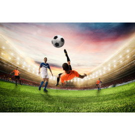 Time for world cup