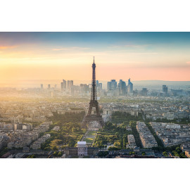 Paris Skyline 