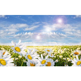 Springtime 