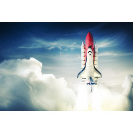 Space shuttle II
