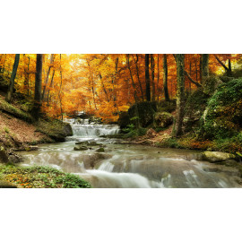 Forest waterfall