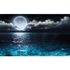 Romantic full moon on sea