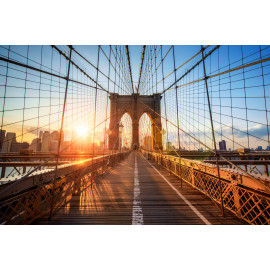 Brooklyn Bridge in New York City