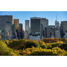 Central Park and Manhattan skyscrapers